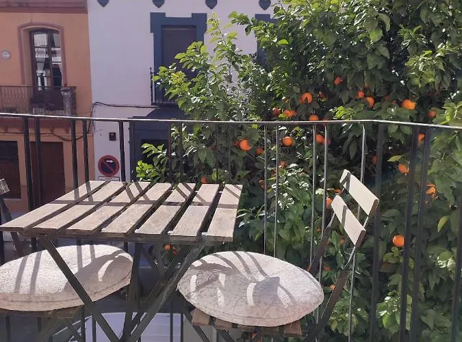 Loft House Triana